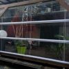 store cristal blanc