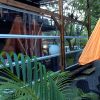 store PVC transparent blanc