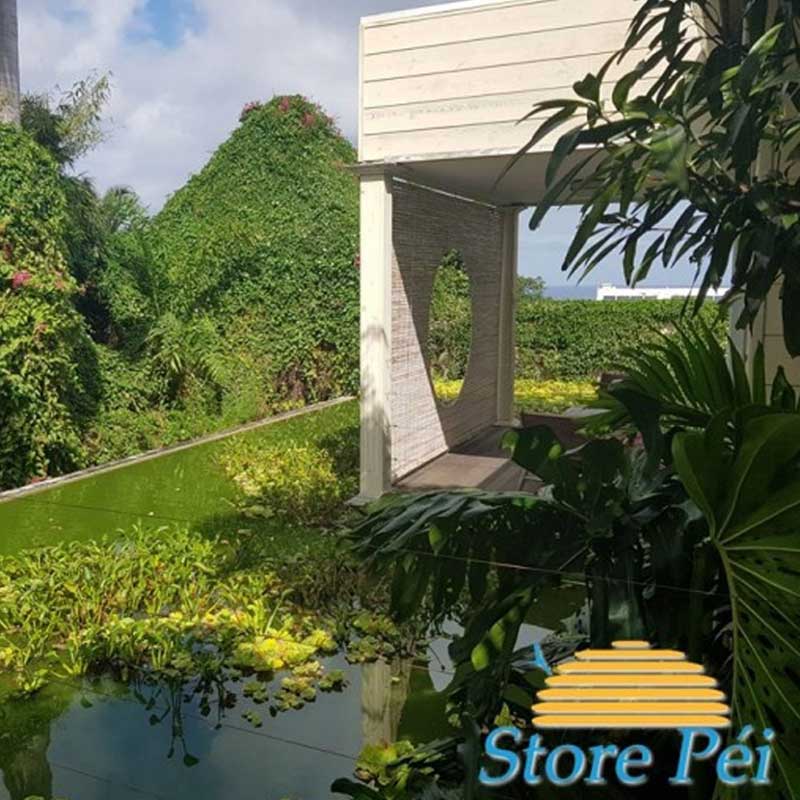 store mauricien teinté blanc cérusé avec fenêtre arrondie